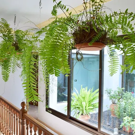 Casa Lava * ヤイサ